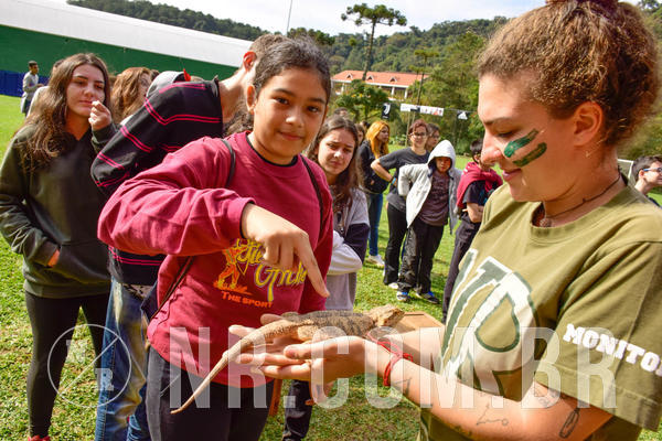 Buy your photos of the eventNR2 - English & Action 08 a 10/06/18 on Fotop