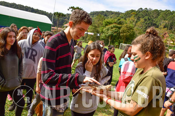 Buy your photos of the eventNR2 - English & Action 08 a 10/06/18 on Fotop