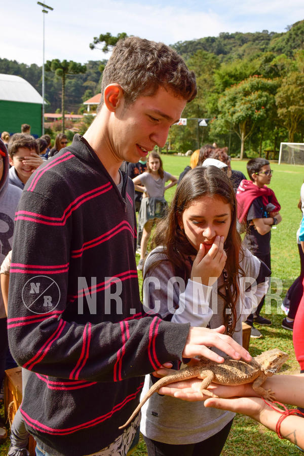 Buy your photos of the eventNR2 - English & Action 08 a 10/06/18 on Fotop