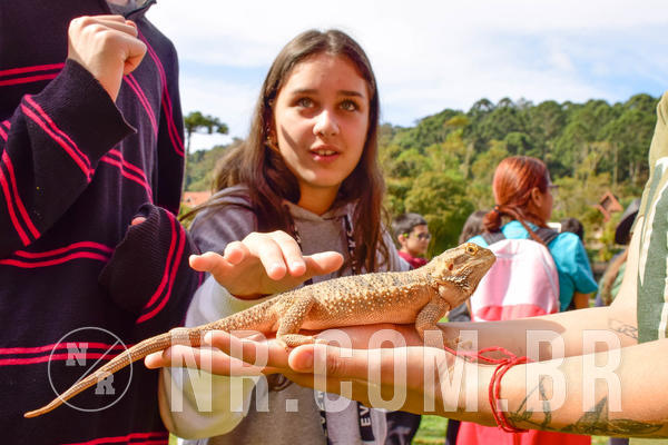 Buy your photos of the eventNR2 - English & Action 08 a 10/06/18 on Fotop
