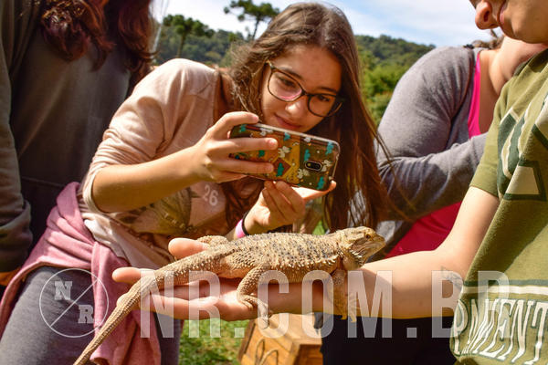 Buy your photos of the eventNR2 - English & Action 08 a 10/06/18 on Fotop