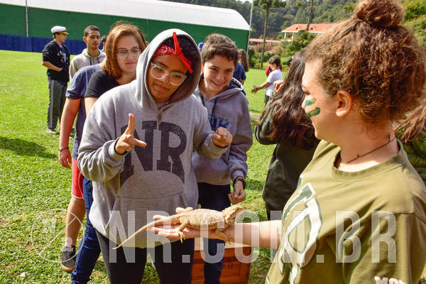 Buy your photos of the eventNR2 - English & Action 08 a 10/06/18 on Fotop