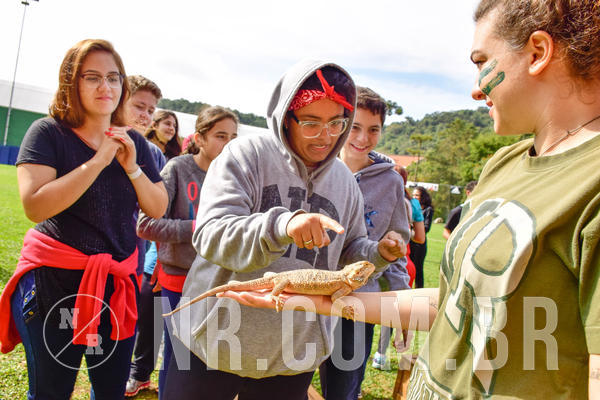 Buy your photos of the eventNR2 - English & Action 08 a 10/06/18 on Fotop