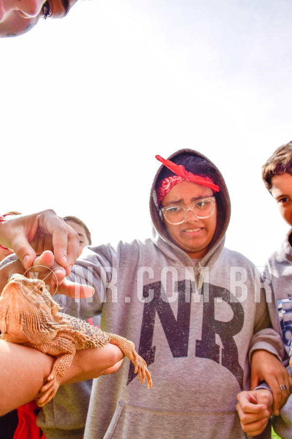 Buy your photos of the eventNR2 - English & Action 08 a 10/06/18 on Fotop