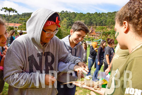 Buy your photos of the eventNR2 - English & Action 08 a 10/06/18 on Fotop