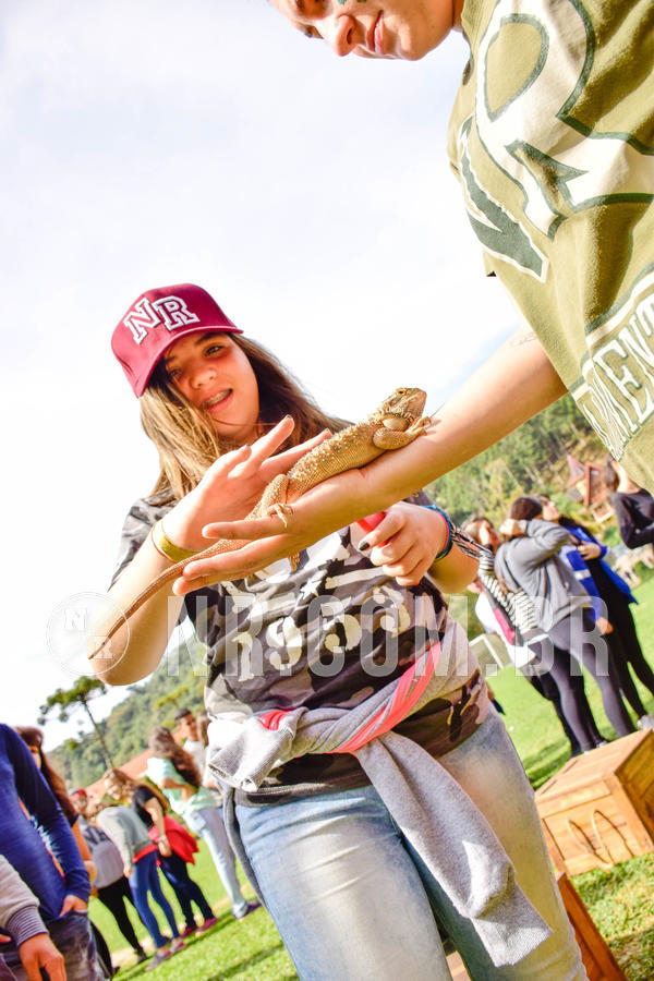 Buy your photos of the eventNR2 - English & Action 08 a 10/06/18 on Fotop