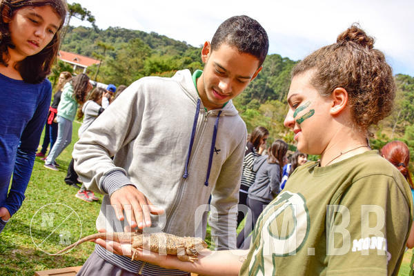 Buy your photos of the eventNR2 - English & Action 08 a 10/06/18 on Fotop