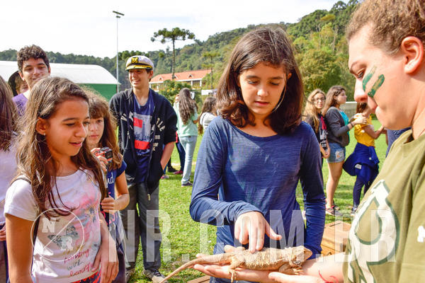 Buy your photos of the eventNR2 - English & Action 08 a 10/06/18 on Fotop