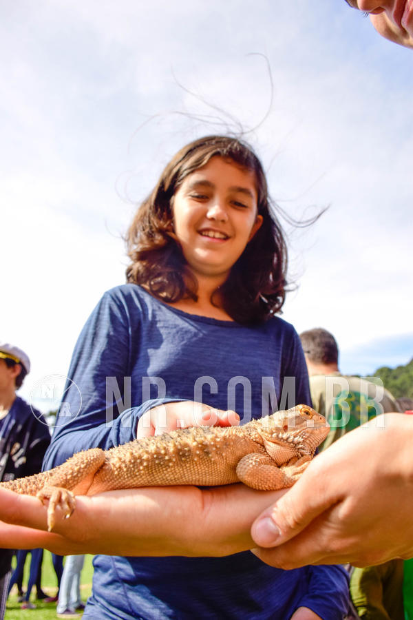 Buy your photos of the eventNR2 - English & Action 08 a 10/06/18 on Fotop