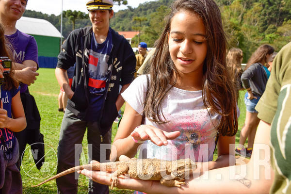 Buy your photos of the eventNR2 - English & Action 08 a 10/06/18 on Fotop