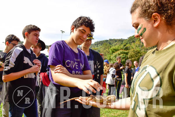 Buy your photos of the eventNR2 - English & Action 08 a 10/06/18 on Fotop