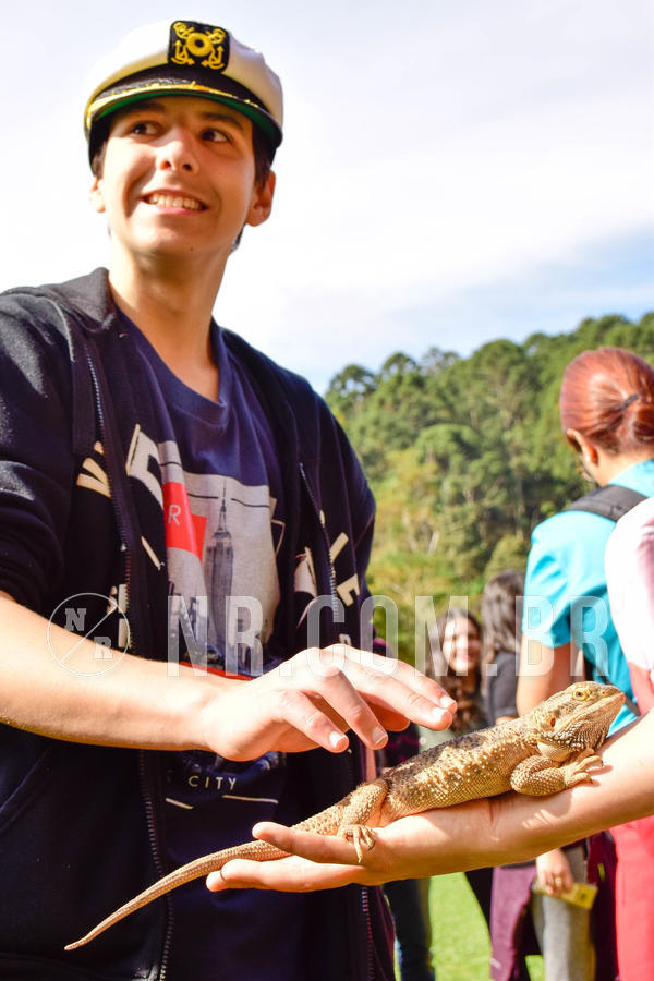 Buy your photos of the eventNR2 - English & Action 08 a 10/06/18 on Fotop