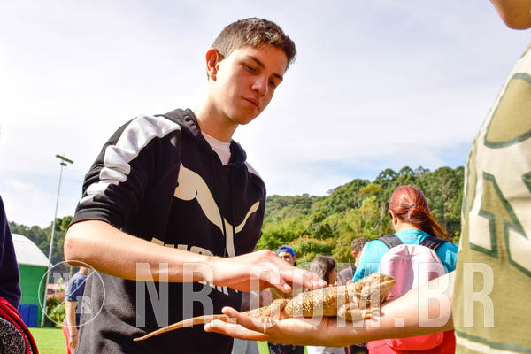 Buy your photos of the eventNR2 - English & Action 08 a 10/06/18 on Fotop