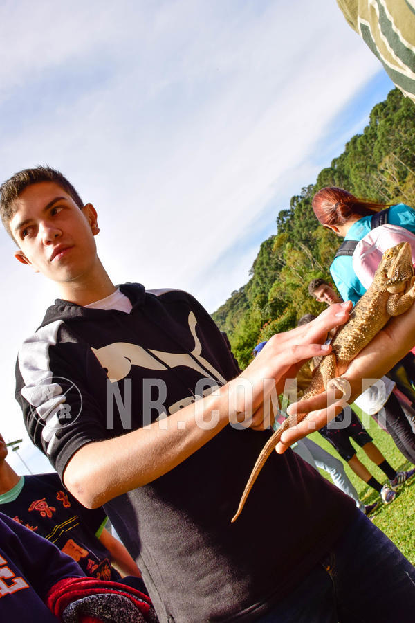 Buy your photos of the eventNR2 - English & Action 08 a 10/06/18 on Fotop