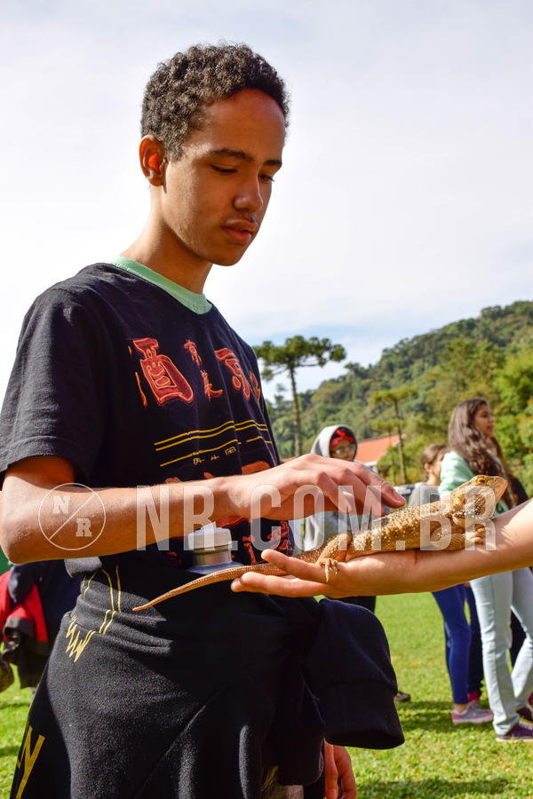 Buy your photos of the eventNR2 - English & Action 08 a 10/06/18 on Fotop