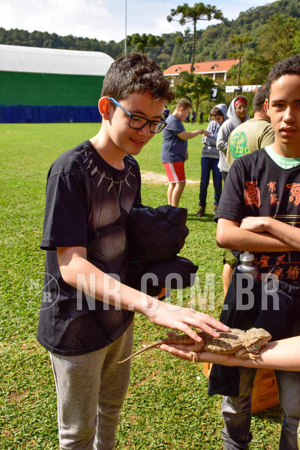 Buy your photos of the eventNR2 - English & Action 08 a 10/06/18 on Fotop