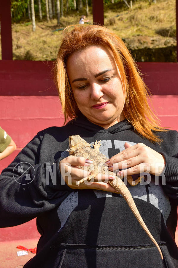 Buy your photos of the eventNR2 - English & Action 08 a 10/06/18 on Fotop