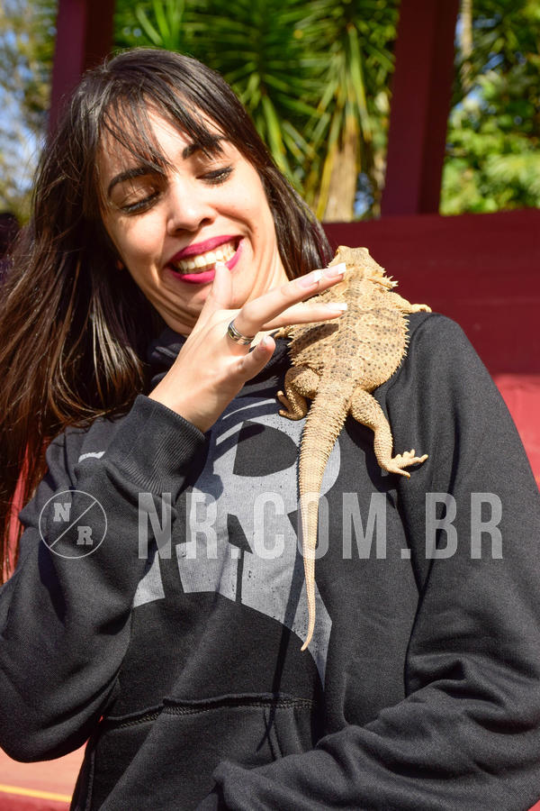 Buy your photos of the eventNR2 - English & Action 08 a 10/06/18 on Fotop