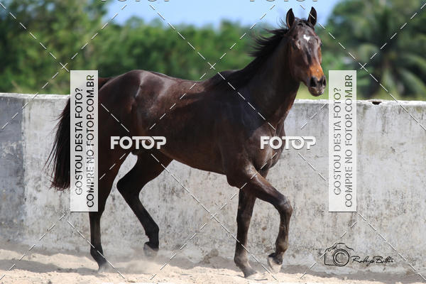 Acquista le foto dell'eventoPARQUE DIVINA LUZ in Fotop