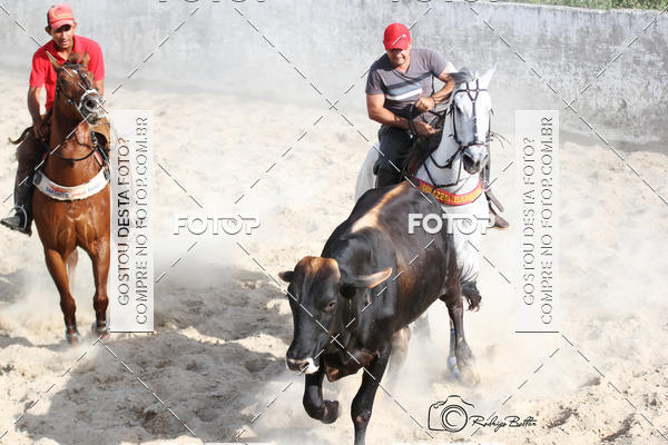 Acquista le foto dell'eventoPARQUE DIVINA LUZ in Fotop