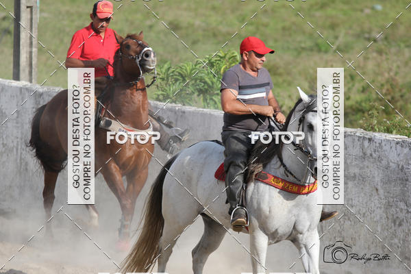 Acquista le foto dell'eventoPARQUE DIVINA LUZ in Fotop