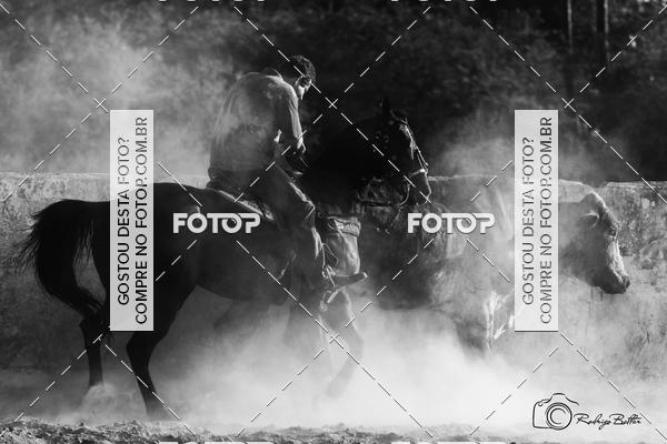 Acquista le foto dell'eventoPARQUE DIVINA LUZ in Fotop