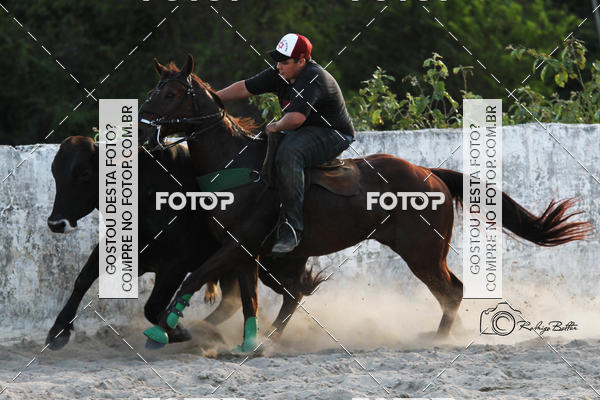 Acquista le foto dell'eventoPARQUE DIVINA LUZ in Fotop