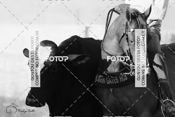 Acquista le foto dell'eventoPARQUE DIVINA LUZ in Fotop