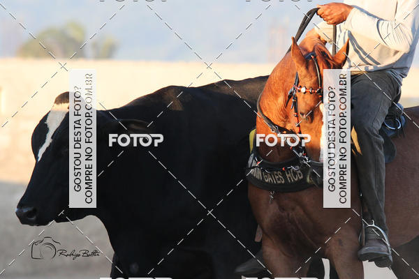 Acquista le foto dell'eventoPARQUE DIVINA LUZ in Fotop