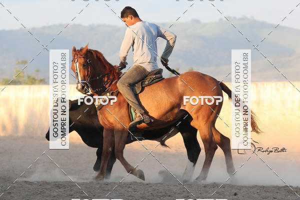 Acquista le foto dell'eventoPARQUE DIVINA LUZ in Fotop