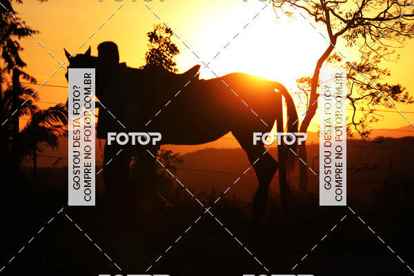 Acquista le foto dell'eventoPARQUE DIVINA LUZ in Fotop