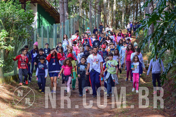 Buy your photos of the eventNR1- English e Action 08 a 10/06/18 on Fotop