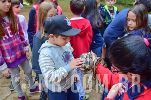 Buy your photos of the eventNR1- English e Action 08 a 10/06/18 on Fotop