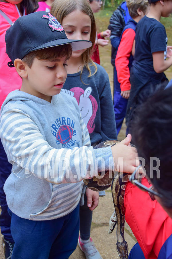 Buy your photos of the eventNR1- English e Action 08 a 10/06/18 on Fotop