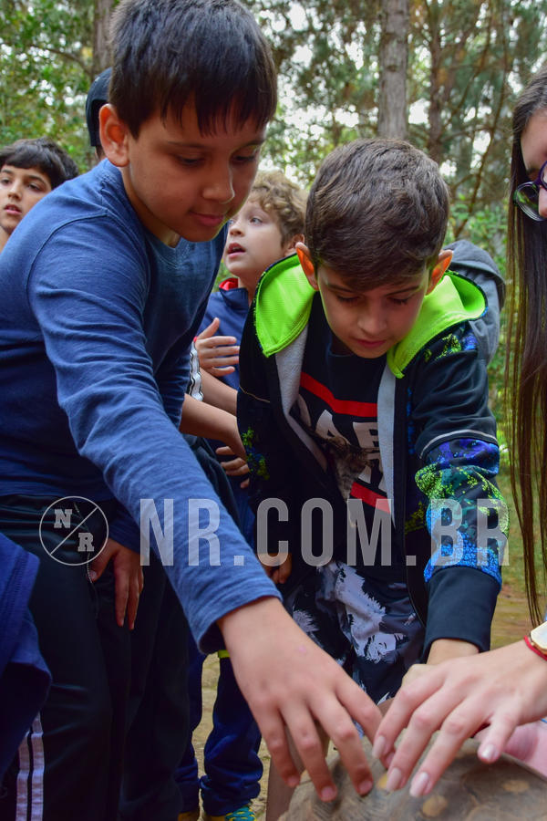 Buy your photos of the eventNR1- English e Action 08 a 10/06/18 on Fotop