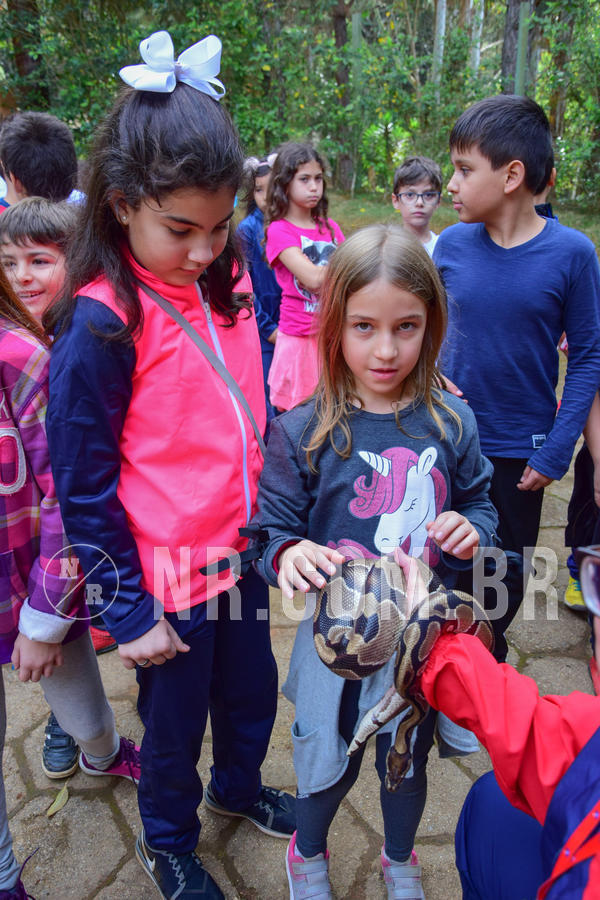 Buy your photos of the eventNR1- English e Action 08 a 10/06/18 on Fotop