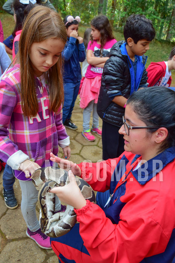 Buy your photos of the eventNR1- English e Action 08 a 10/06/18 on Fotop
