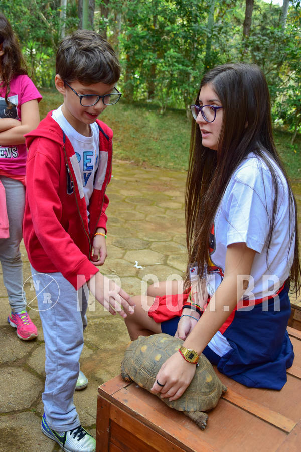 Buy your photos of the eventNR1- English e Action 08 a 10/06/18 on Fotop