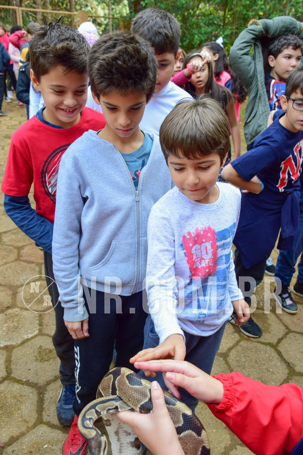 Buy your photos of the eventNR1- English e Action 08 a 10/06/18 on Fotop