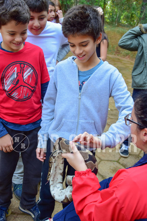 Buy your photos of the eventNR1- English e Action 08 a 10/06/18 on Fotop