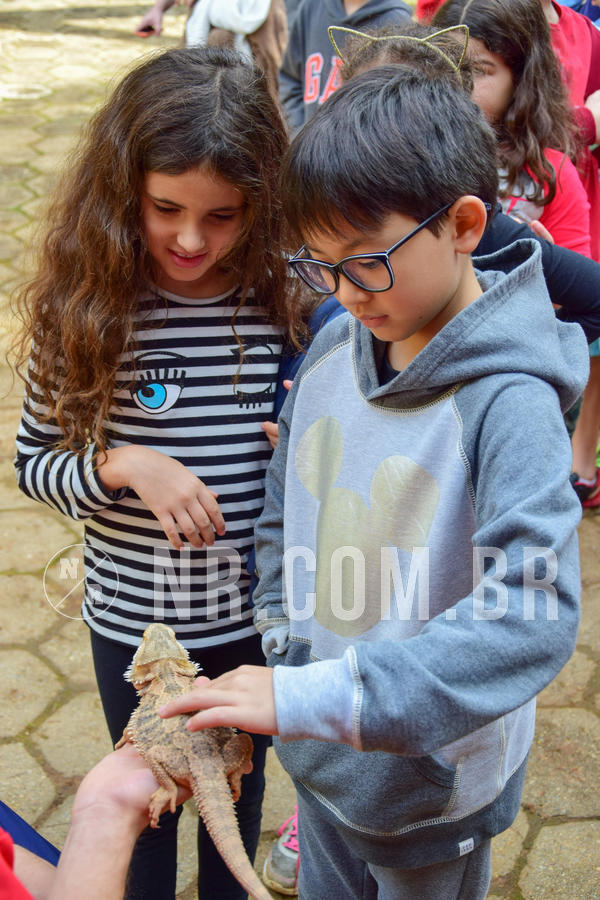 Buy your photos of the eventNR1- English e Action 08 a 10/06/18 on Fotop