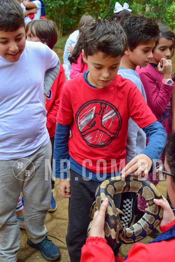 Buy your photos of the eventNR1- English e Action 08 a 10/06/18 on Fotop