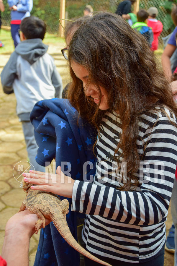 Buy your photos of the eventNR1- English e Action 08 a 10/06/18 on Fotop