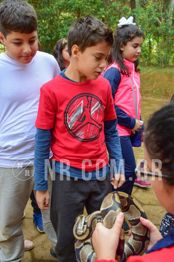 Buy your photos of the eventNR1- English e Action 08 a 10/06/18 on Fotop