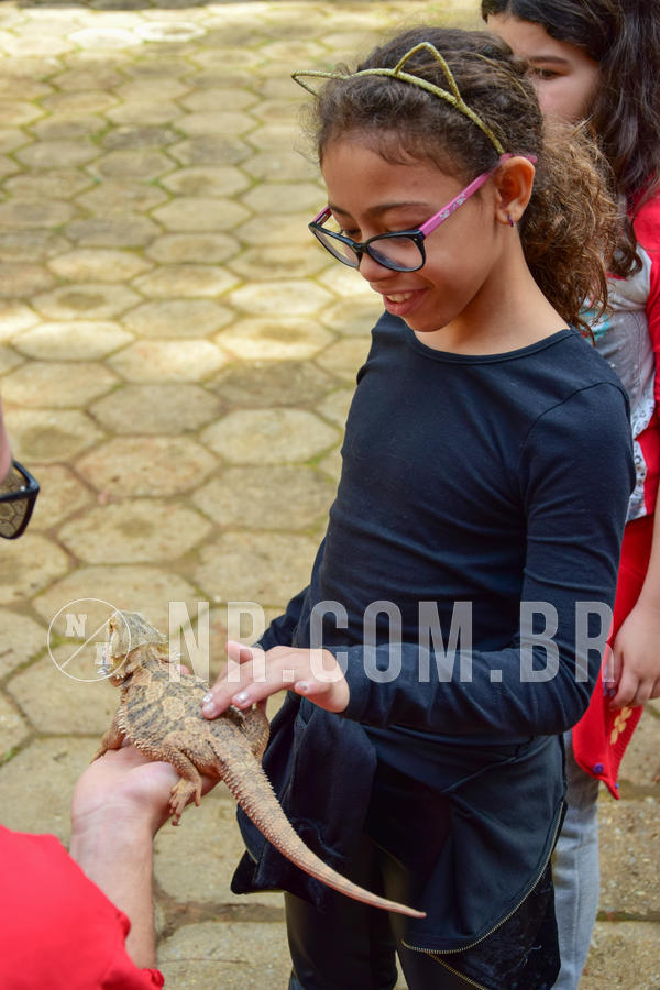 Buy your photos of the eventNR1- English e Action 08 a 10/06/18 on Fotop