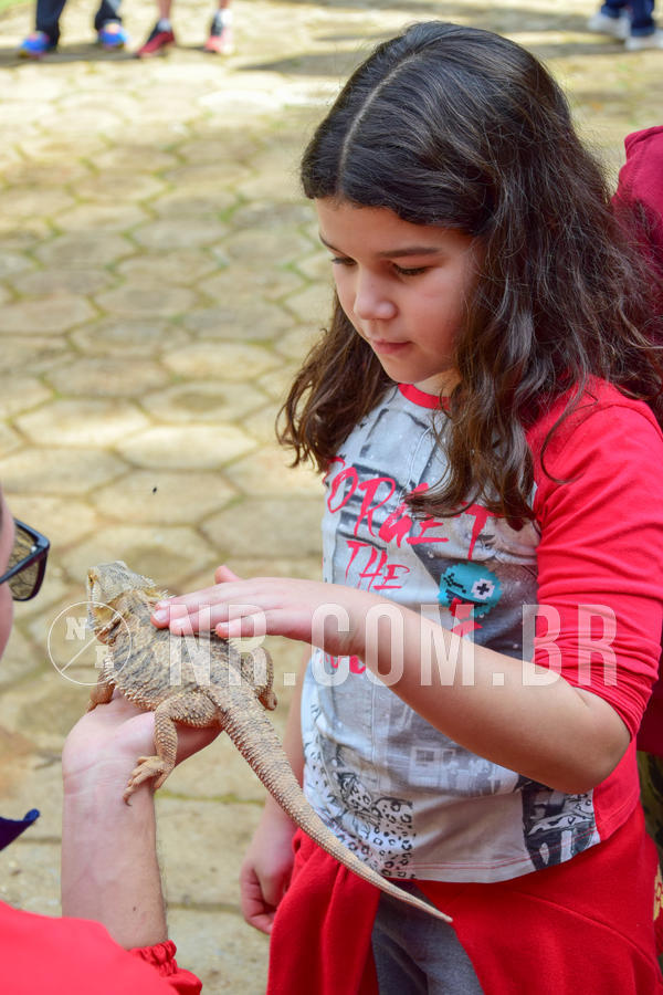 Buy your photos of the eventNR1- English e Action 08 a 10/06/18 on Fotop