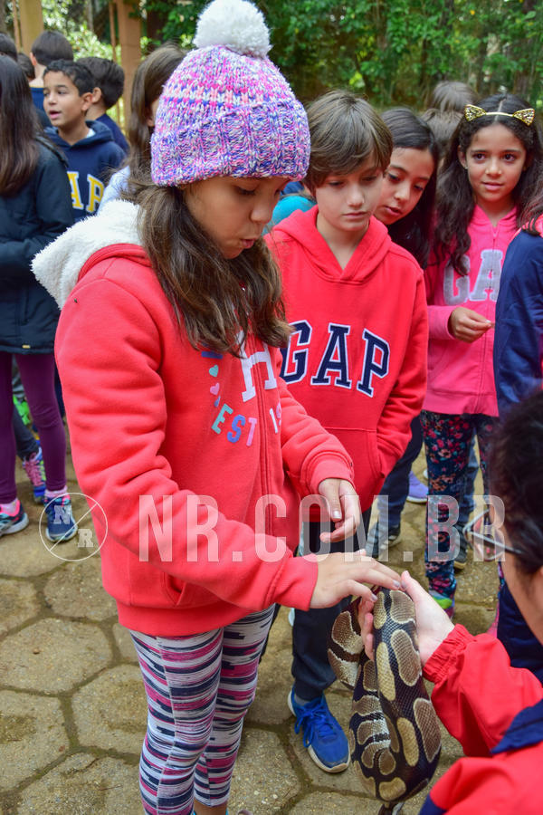 Buy your photos of the eventNR1- English e Action 08 a 10/06/18 on Fotop