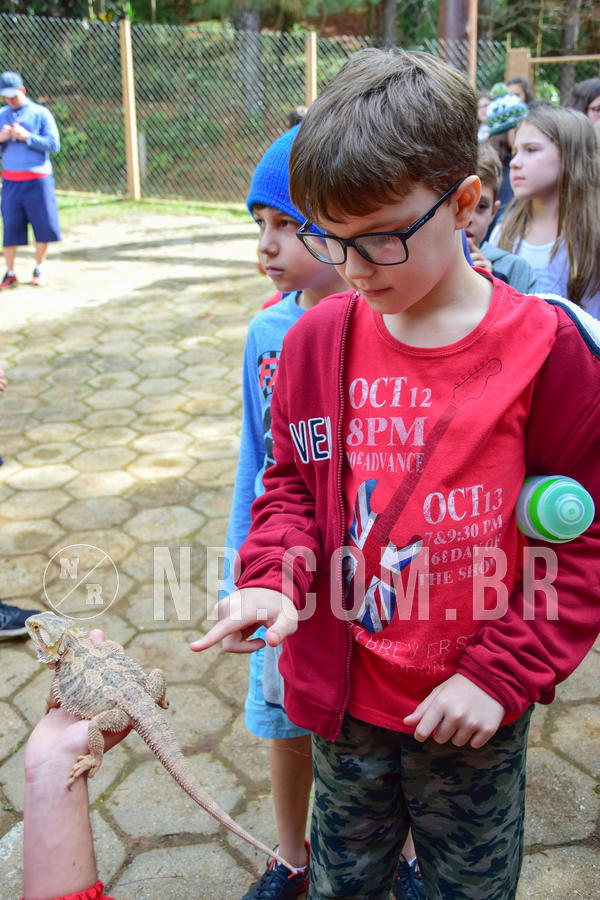 Buy your photos of the eventNR1- English e Action 08 a 10/06/18 on Fotop