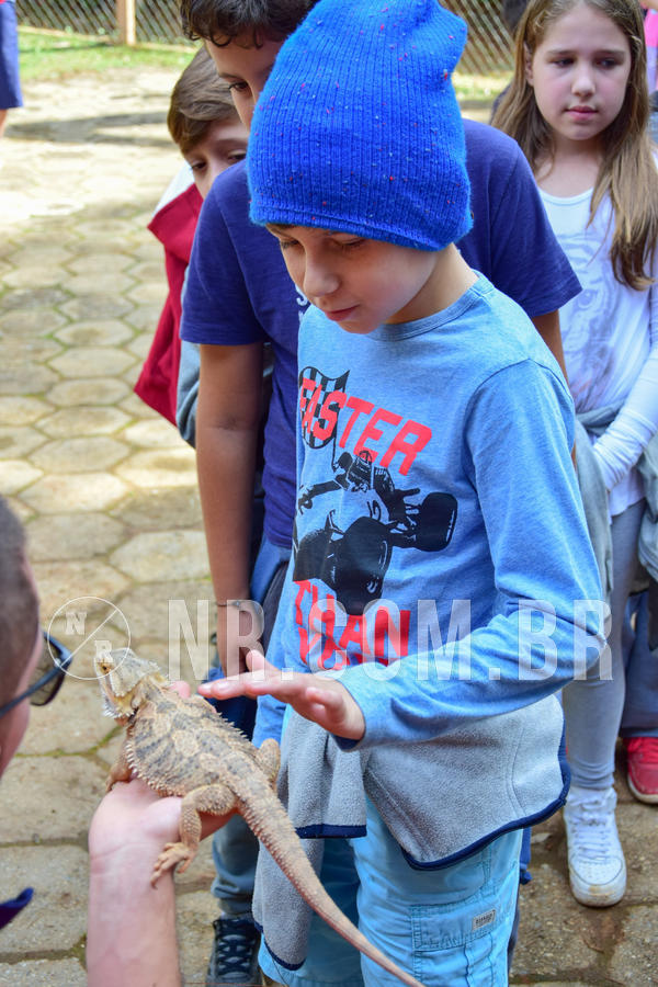 Buy your photos of the eventNR1- English e Action 08 a 10/06/18 on Fotop