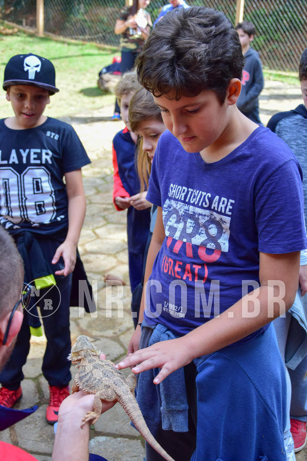 Buy your photos of the eventNR1- English e Action 08 a 10/06/18 on Fotop